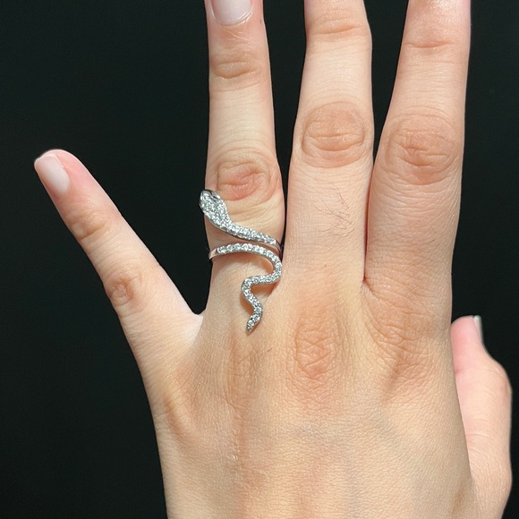 Elegant Silver Snake Ring - Picture 1 of 2